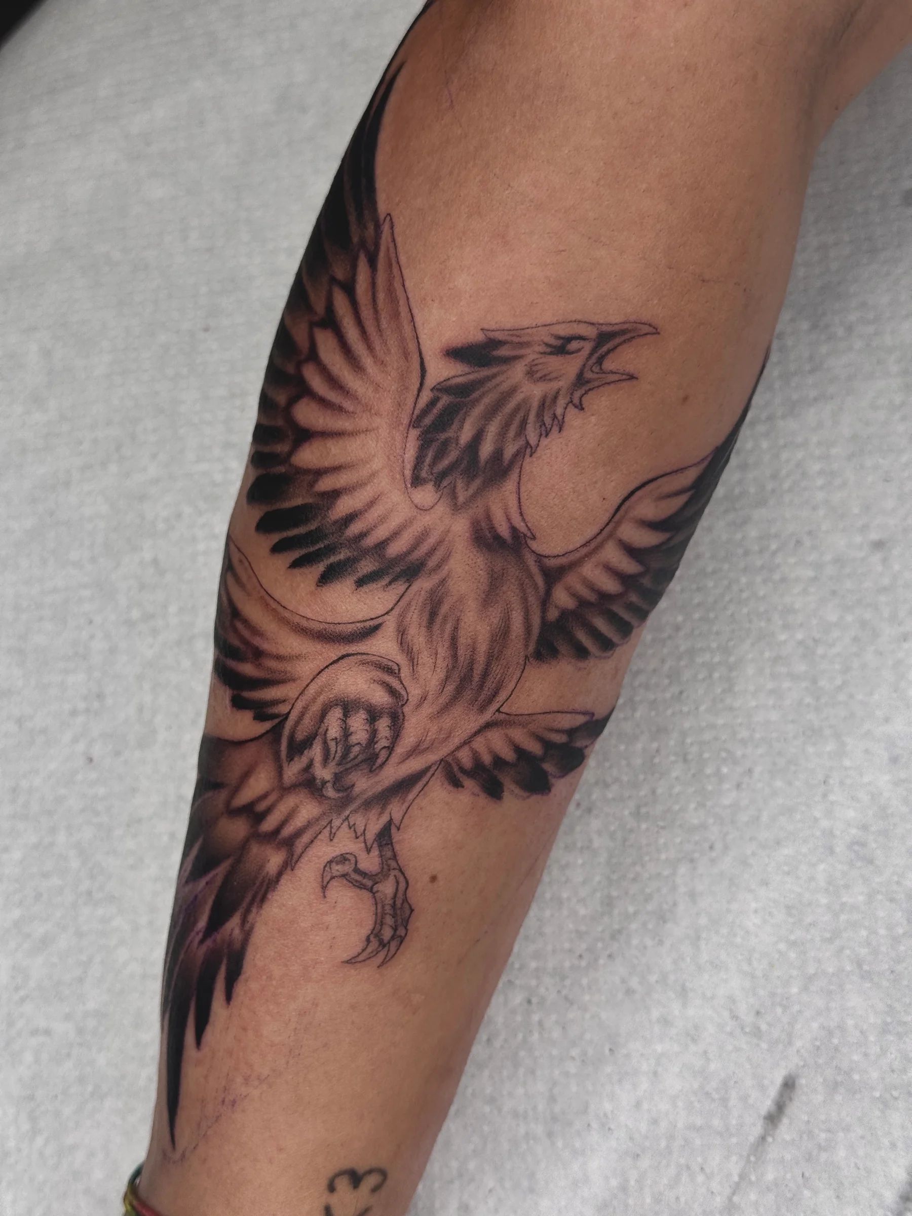 Phoenix with open wings on the forearm